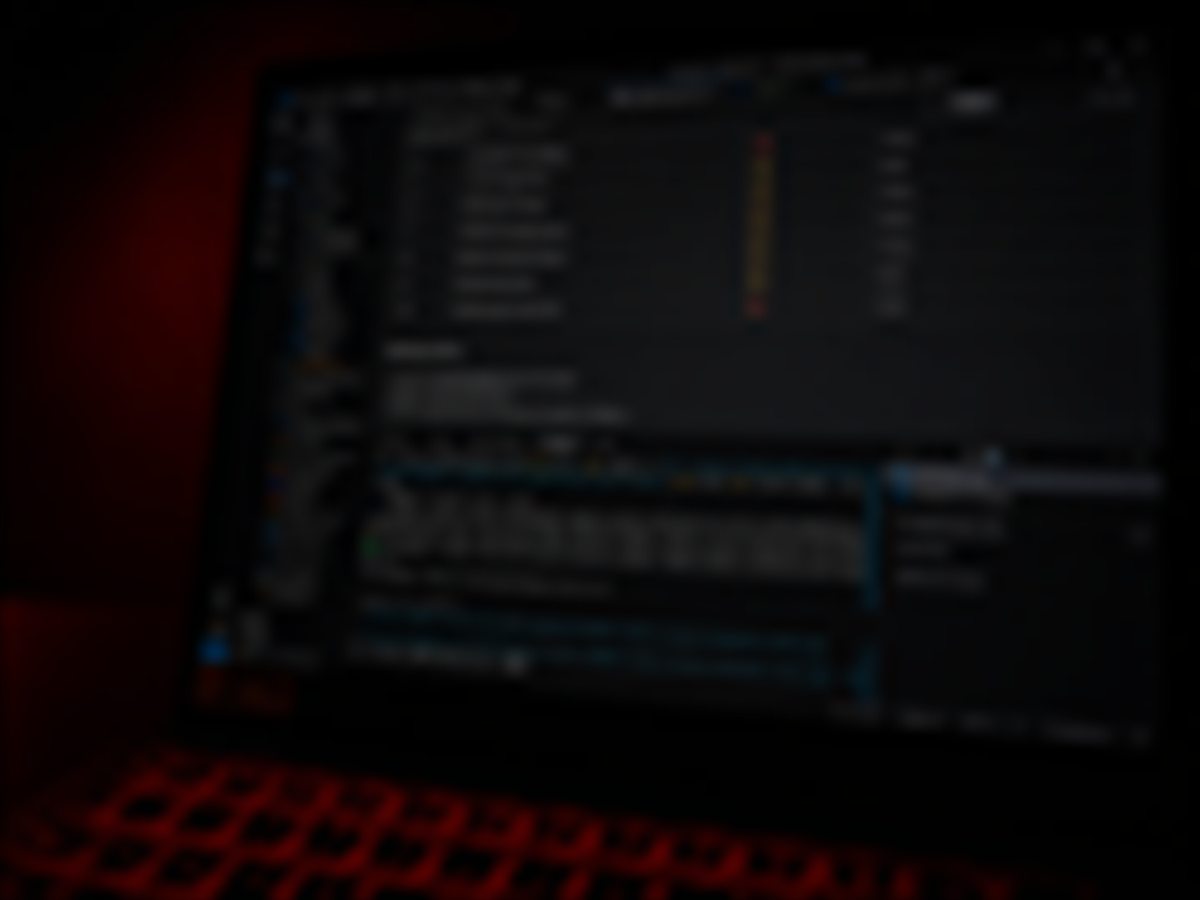 Privacy-blurred software build and deployment workspace